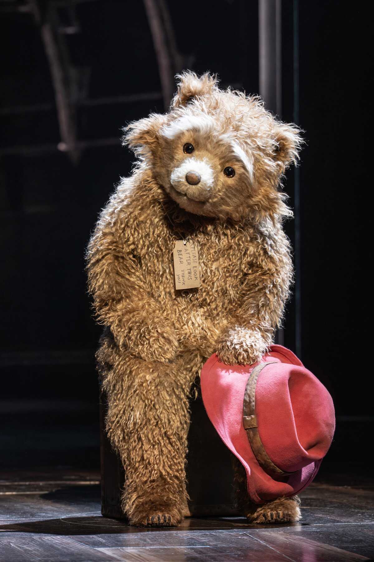 Paddington: The Musical